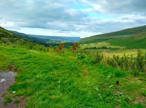 an isolated grassland in uk