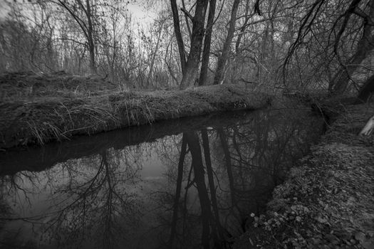 Small river in Chernobyl, Ukraine. Apocalyptic atmosphere. Radiation everywhere. Black and white monochrome photo.