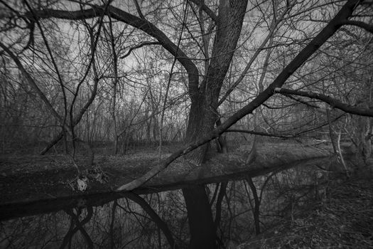 Small river in Chernobyl, Ukraine. Apocalyptic atmosphere. Radiation everywhere. Black and white monochrome photo.