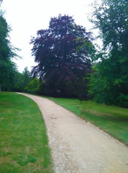 a walk in an outdoor garden