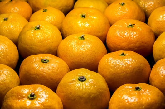 Close-up on glossy surface of freshness orange fruits