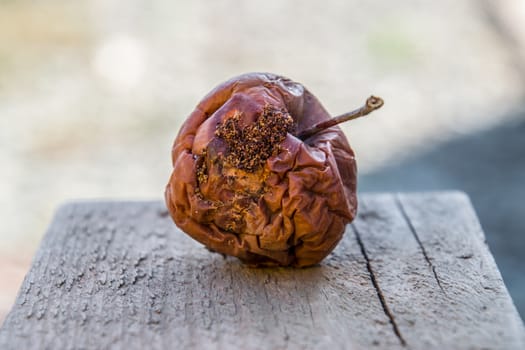 Rotten apple on the bench. Defeat apples. Spoiled crop.