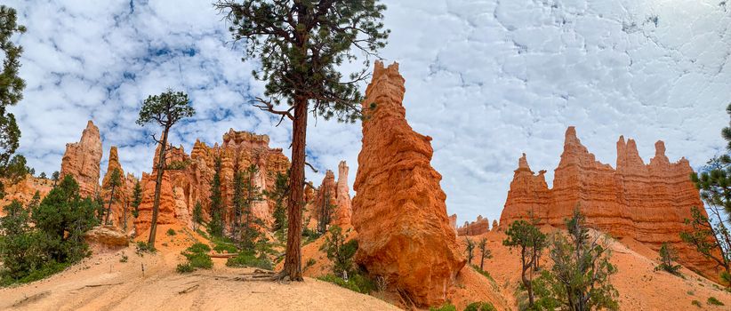 Bryce Canyon National Park, Utah, USA