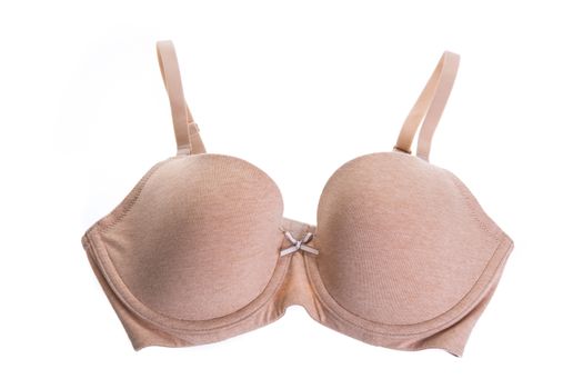 Stylish bra  isolated on background