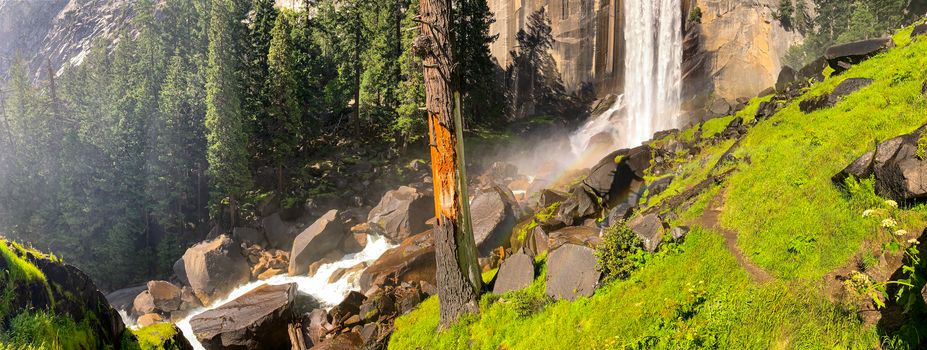 Yosemite National Park, California, USA