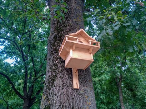 Beautiful birdhouse on a tree. Birdhouse in the park.