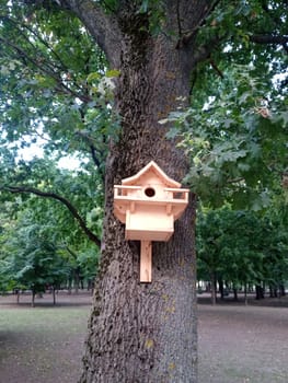 Beautiful birdhouse on a tree. Birdhouse in the park.