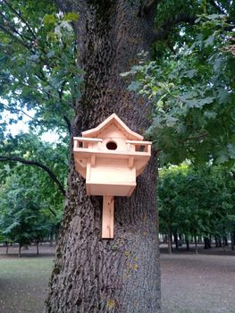 Beautiful birdhouse on a tree. Birdhouse in the park.