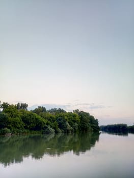 River landscape. River flow. Water surface and trees on the shore.
