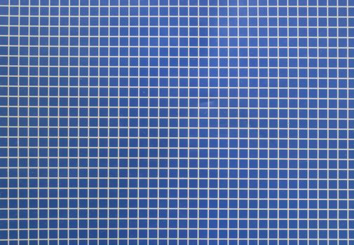 White cell texture background on blue background.