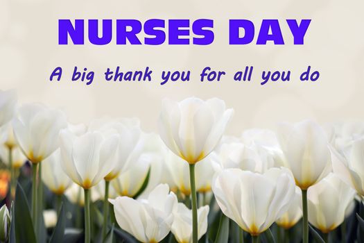 The text of the greeting on the medical holiday-day of the nurse is written on a background of tulips. Healthcare and medical concept