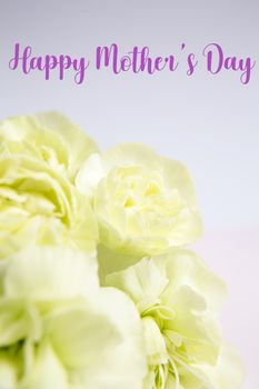 Green yellow flowers on pink and white background. Mother's day card.