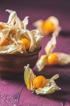 Fresh juicy group organic cape gooseberry in clay dish on dark claret bordeaux concrete surface. Physalis peruviana, Inca berry, poha berries, husk tomatoes. Ripe berries of autumn physalis fruit