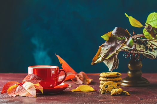 Red in white dotted cup of hot tea. Autumn teatime composition on dark background with colored leaves and chocolate cookies.