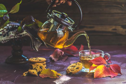 Woman poured hot tea in red in cup. Autumn teatime composition on dark background with colored leaves and chocolate cookies, sun light beam on the cup.