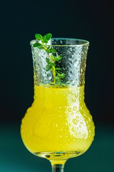 Limoncello with thyme in grappas wineglass with water drops close up on dark background, shallow depth of the field.