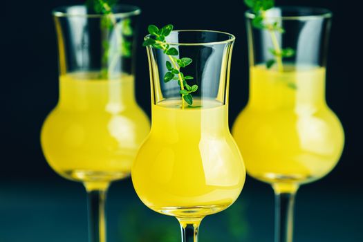 Limoncello with thyme in three grappas wineglass close up on dark background, shallow depth of the field.