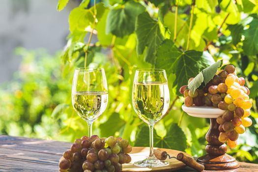Grape and white wine. Green grape and white wine in vineyard. Sunny garden with vineyard background, summer mood concept, selective focus