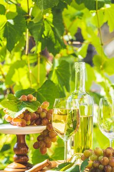 Grape and white wine. Green grape and white wine in vineyard. Bunch of grapes with water drops on the table. Sunny garden with vineyard background.