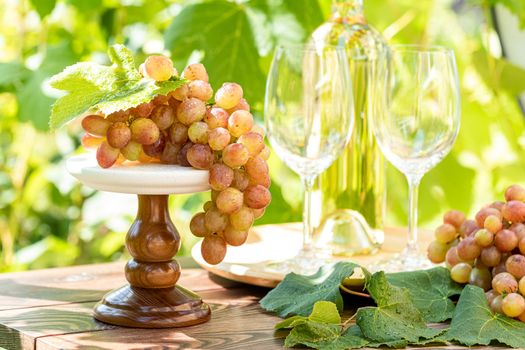 Bunch of grapes with water drops on the table. Wine glasses and bottle of wine. Sunny garden with vineyard background, summer mood concept, selective focus