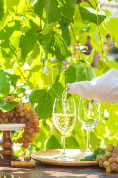 Pouring wine in glass. Green grape and white wine in vineyard. Sunny garden with vineyard background, summer mood concept, selective focus