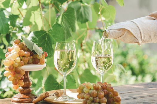 Pouring wine in glass. Green grape and white wine in vineyard. Sunny garden with vineyard background, summer mood concept, selective focus, toned