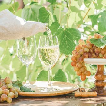 Pouring wine in glass. Green grape and white wine in vineyard. Sunny garden with vineyard background, summer mood concept, selective focus