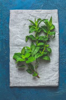 Herbs and spices.Fresh herbs selection included rosemary, thyme, mint, lemon balm and arugula. Overhead view, copy space.