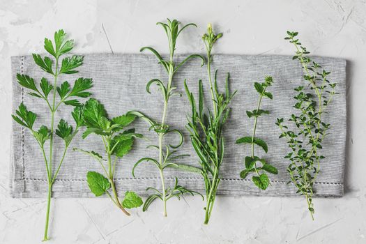 Herbs and spices. Fresh herbs selection included rosemary, thyme, mint, lemon balm, parsley and arugula. Overhead view, copy space