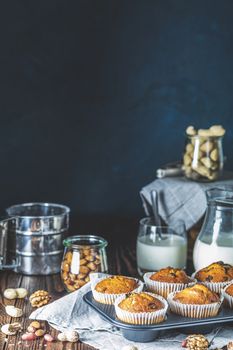 Vanilla caramel muffins in paper cups and glass in bakeware of milk on  dark wooden background. Delicious cupcake with raisins, almonds and nuts. Homemade biscuit cakes. Copy space for text.