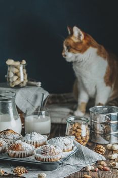 Vanilla caramel muffins in paper cups and glass in bakeware of milk on  dark wooden background. Delicious cupcake with raisins, almonds and nuts. Cute red white cat in the background