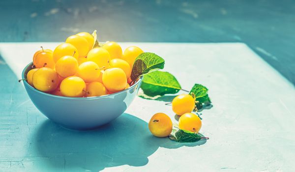 Fresh sweet yellow cherry plums in blue bowl on the blue concrete surface table, sunny light, selective focus, shallow depth of the fields, close up
