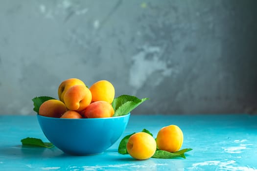 Fresh sweet orange apricots in blue bowl on the blue concrete surface table, selective focus, shallow depth of the fields