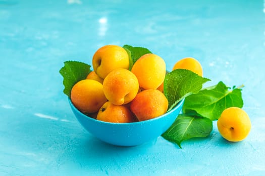 Fresh sweet orange apricots in blue bowl on the blue concrete surface table, selective focus, shallow depth of the fields