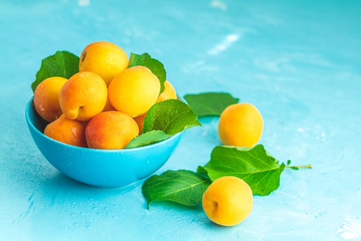 Fresh sweet orange apricots in blue bowl on the blue concrete surface table, selective focus, shallow depth of the fields