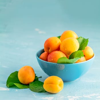 Fresh sweet orange apricots in blue bowl on the blue concrete surface table, selective focus, shallow depth of the fields