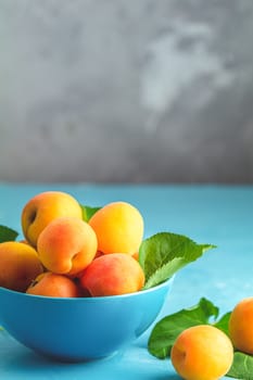 Fresh sweet orange apricots in blue bowl on the blue concrete surface table, selective focus, shallow depth of the fields