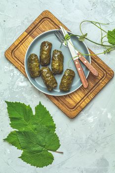 Traditional Middle Eastern dolma or tolma or sarma. Latin American Mexican Chilean cuisine ninos envueltos. Grape leaves stuffed with meat and rice. Lebanon turkish greek middle eastern cuisine.