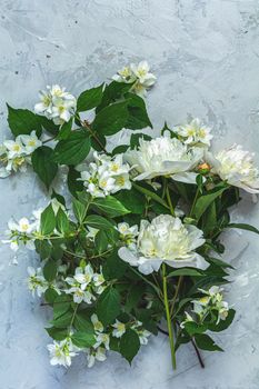 Jasmine and white peonies on light gray concrete surface table. Top view, flat lay, copy space for you text. Beautiful greeting card.