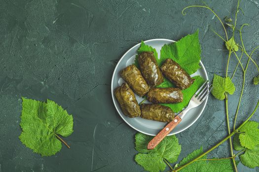 Traditional Middle Eastern dolma or tolma. Latin American Mexican Chilean cuisine ninos envueltos. Grape leaves stuffed with meat and rice
