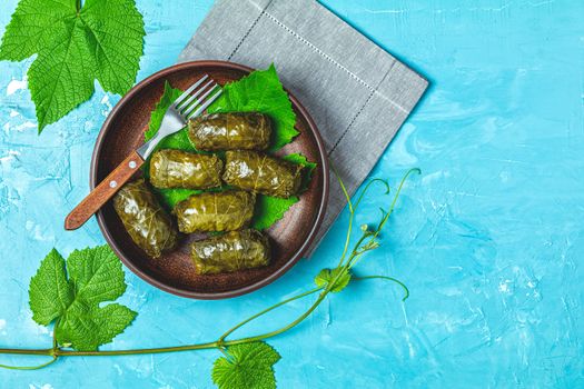Traditional Middle Eastern dolma or tolma or sarma. Latin American Mexican Chilean cuisine ninos envueltos. Grape leaves stuffed with meat and rice. Lebanon turkish greek middle eastern cuisine.