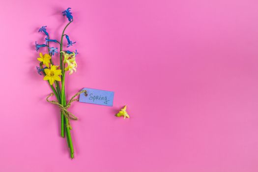 Bouquet spring blossom flowers yellow and blue hyacinth, daffodil and different handwritten notes letters lettering spring over pink background. Flat lay, space for you text