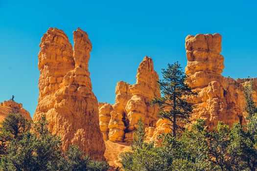 Bryce Canyon National Park, Utah, USA