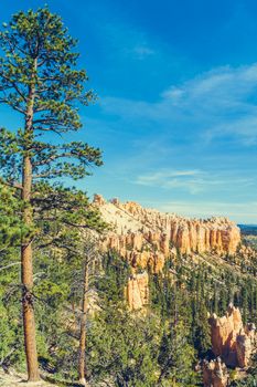 Bryce Canyon National Park, Utah, USA