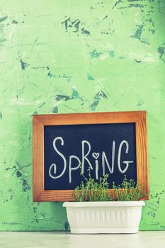 Calligraphic inscription hand lettering letters spring on black chalkboard standing on gray concrete table surface and green background with thyme in white basket. Spring coming concept background.