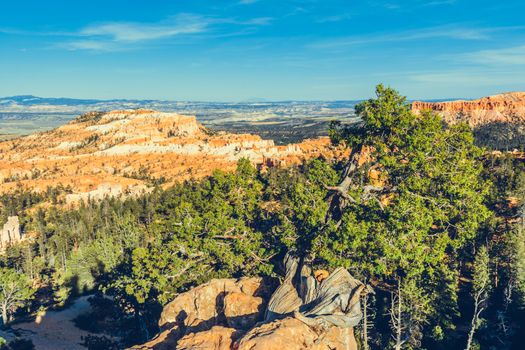 Bryce Canyon National Park, Utah, USA