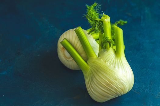 Fresh Florence fennel bulbs or Fennel bulb on dark blue concrete background. Healthy and benefits of Florence fennel bulbs.