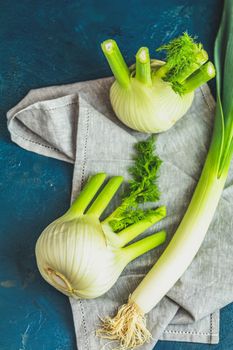 Fresh Florence fennel bulbs or Fennel bulb and leek on dark blue concrete background. Healthy and benefits of Florence fennel bulbs.