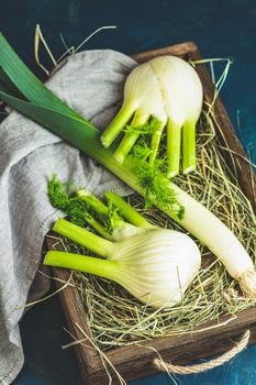 Fresh Florence fennel bulbs or Fennel bulb, leek and parsley in wooden box with dried grass on dark blue concrete background. Healthy and benefits of Florence fennel bulbs.