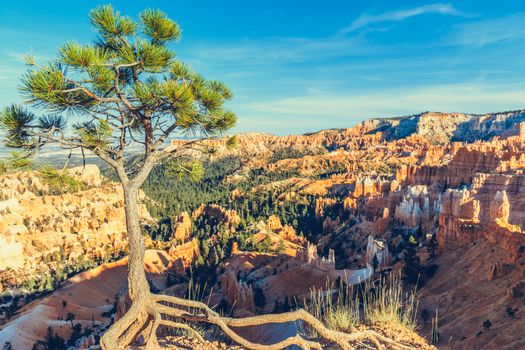 Bryce Canyon National Park, Utah, USA